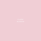 5 / Classic Blossom